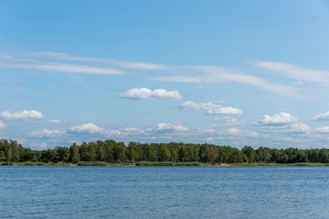 River and Forest in Latvia on a Sunny Summer Day