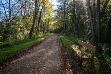 Ruta del Ferro, Iron and Coal Route, Old railway transformed in trail walk or bike ride. Villages of Sant Joan de les Abadesses and Ripoll, in Ripolles area, Catalonia, Spain.
