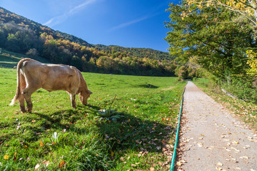 Ruta del Ferro, Iron and Coal Route, Old railway transformed in trail walk or bike ride. Villages of Sant Joan de les Abadesses and Ripoll, in Ripolles area, Catalonia, Spain.