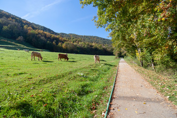 Ruta del Ferro, Iron and Coal Route, Old railway transformed in trail walk or bike ride. Villages of Sant Joan de les Abadesses and Ripoll, in Ripolles area, Catalonia, Spain.