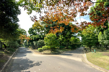 国会前庭和式庭園