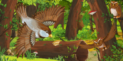 cartoon summer scene with deep forest and birds owls and some other bird - nobody on scene - illustration for children