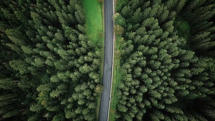 aerial veiw of empty road in green forest. drone shot in 4K. bird's eye - Powered by Adobe