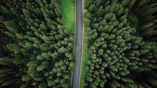 aerial veiw of empty road in green forest. drone shot in 4K. bird's eye