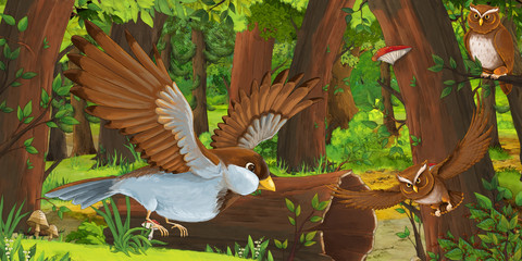 cartoon summer scene with deep forest and birds owls and some other bird - nobody on scene - illustration for children
