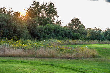 Gelände eines leeren Golfplatzes
