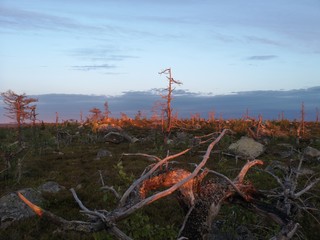 fishing net at sunset
