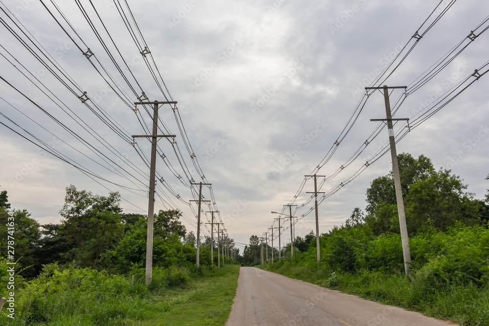 Wall mural row of wire electric pole