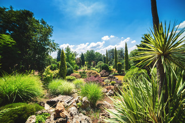Landscape of Karaca arboretum in Yalova, Turkey, with Mediterranean plants