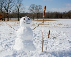 Happy Snowman with Cattails