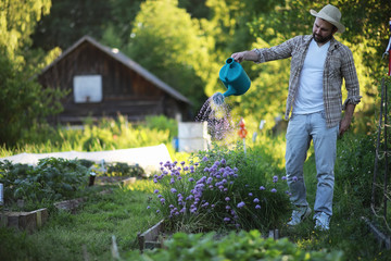 Man farmer watering a vegetable garden