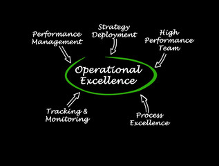  Five Components of Operational Excellence.