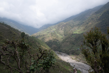 Trail on the Annapurna Base Camp Trek in tropical Rain forest Nepal.