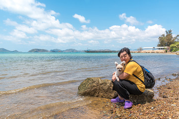 Dog happy fun on rocky beach when travel at sea