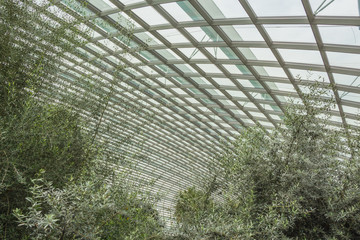 Display in the Flower Dome