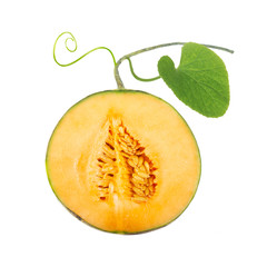 half of cantaloupe with green leaf isolated on white background