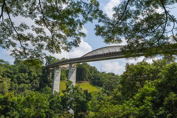 Henderson Waves bridge