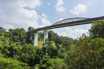 Henderson Waves bridge