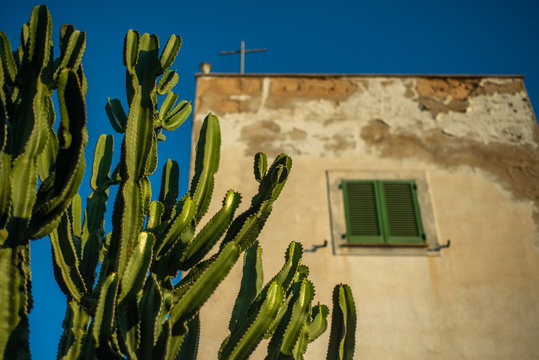 Cactus Growing in Front of a Rustic Traditional Spanish Style House With Shutters