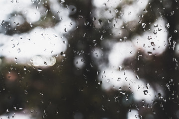 Drops Of Rain On Glass Background. Street Bokeh Lights Out Of Focus. Abstract Backdrop