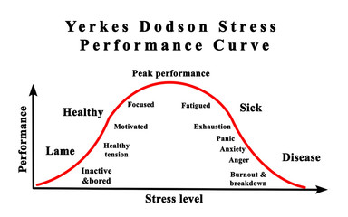 Yerkes Dodson Stress Performance Curve.