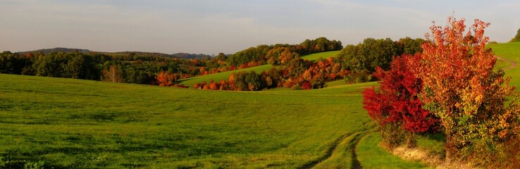 Scenic autumnal landscape