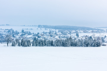 Winter landscape with trees covered with frost and a small European village is located among the snow-covered fields.