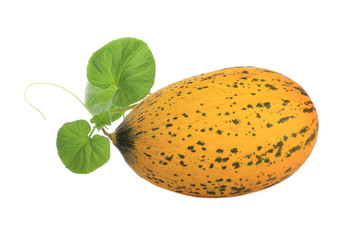 fresh yellow melon with green leaves isolated on white background