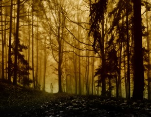 Dark creepy foggy forest