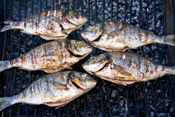 grilled fish