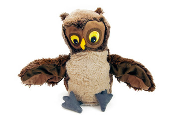 owl puppet