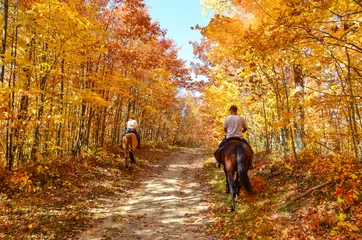 Fotobehang Paardrijden horseback riding on a fall country path   © Tammi Mild