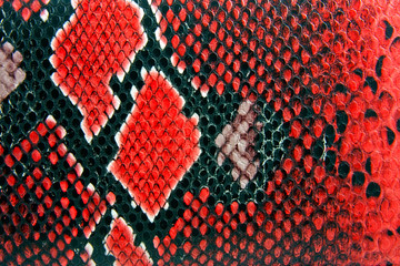 snake skin background