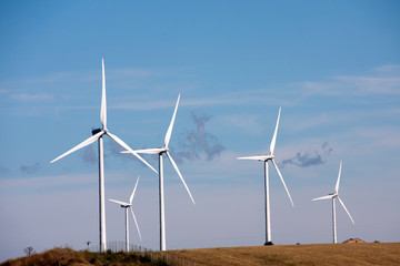 wind turbines field