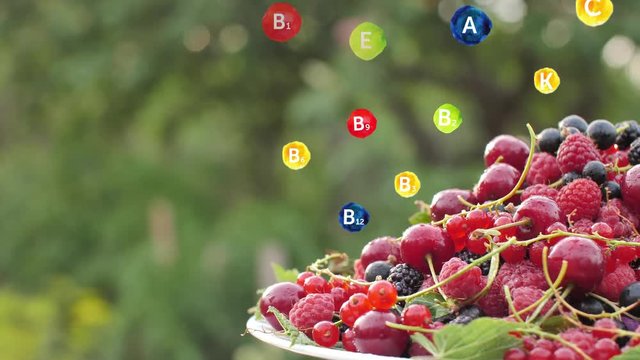 Fresh Raspberries, BlackBerry, Cherry, Red and Black Currant on Nature Background with Graphic Vitamins. Healthy Organic Food