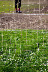 daisies behind the goal net