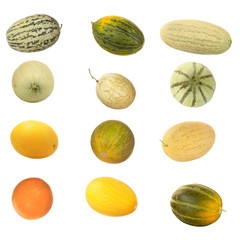varieties of melon isolated on white background