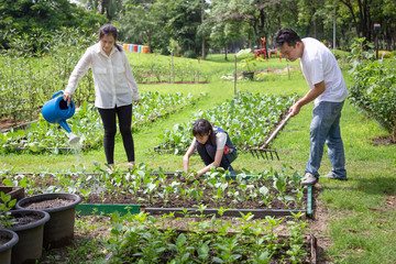 Happy asian family,parents,daughter to grow vegetables in farm,father working using rake in organic garden,mother watering plants with watering can,vegetables gardening,agriculture,activites concept