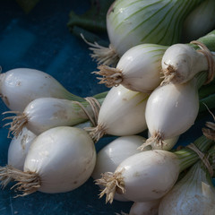 Oignons frais du marché aux légumes