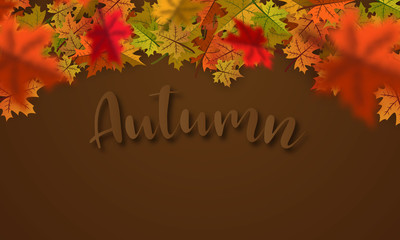 Autumn falling leaves background  Vector template.