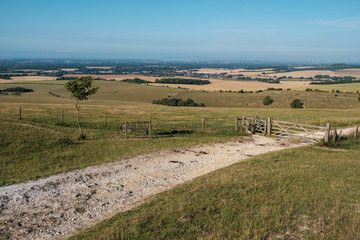 Goodwood View Point
