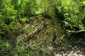 The cliff is a rocky layer with soil and grass.