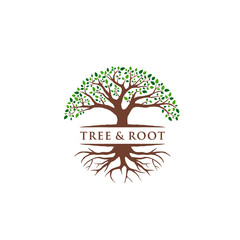 Obraz premium Vector Abstract Tree And Root Logo Design Inspiration