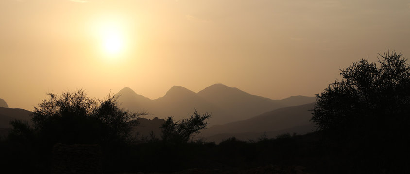  trees with the sunset in Oman mountains
