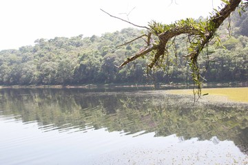 Nature