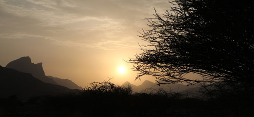 trees with the sunset in Oman mountains