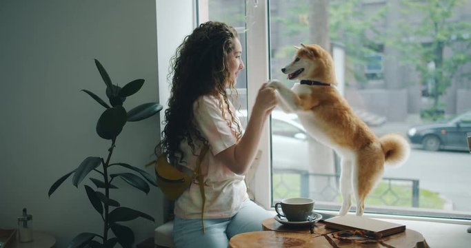 Happy young woman is dancing with pet dog sitting on window sill in cafe having fun enjoying music and animal. Modern lifestyle, people and youth concept.