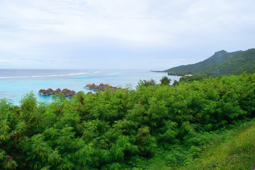 Fototapeta na wymiar タヒチ　モーレア島