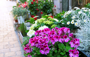 Many different flowers in front of the flower shop.