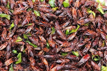 fried insects is delicious at street food